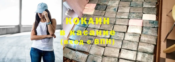 гидра Елабуга