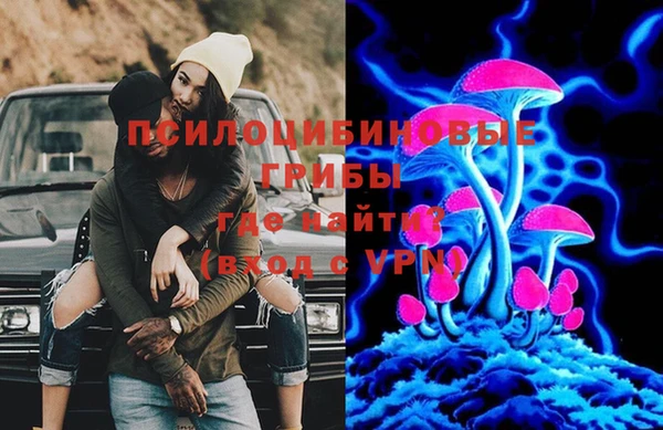 твердый Тында