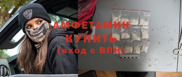 дурь Ельня