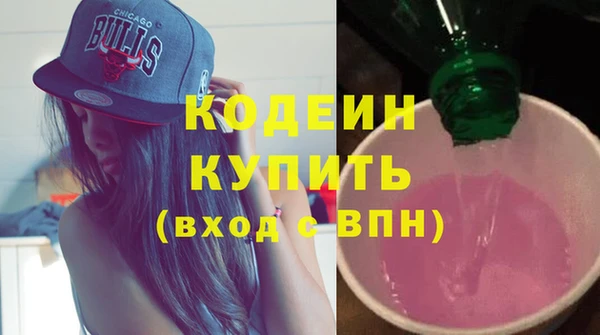 гидра Елабуга