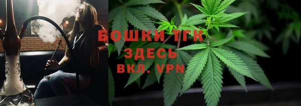 гидра Елабуга