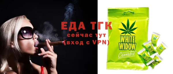 гидра Елабуга