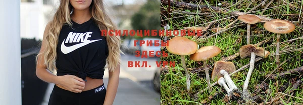 дурь Ельня