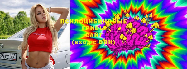 гидра Елабуга