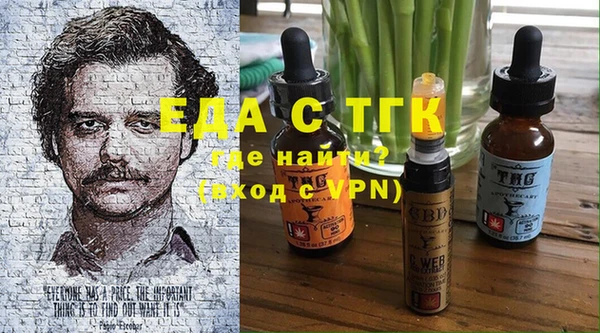 гидра Елабуга