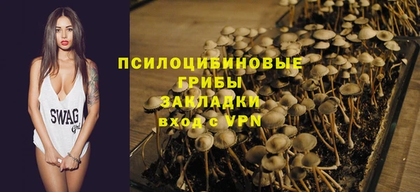дурь Ельня