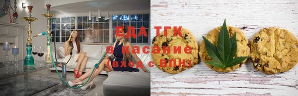 гидра Елабуга
