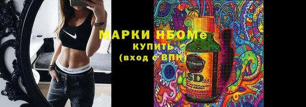 гидра Елабуга