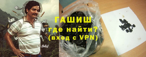 гидра Елабуга