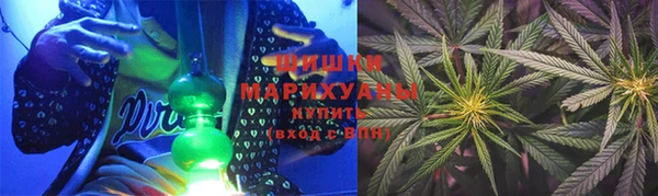 дурь Ельня