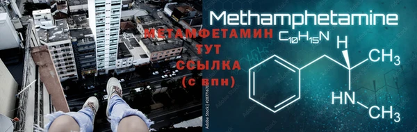 гидра Елабуга